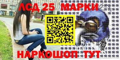 стаф Будённовск