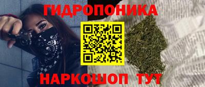 стаф Будённовск